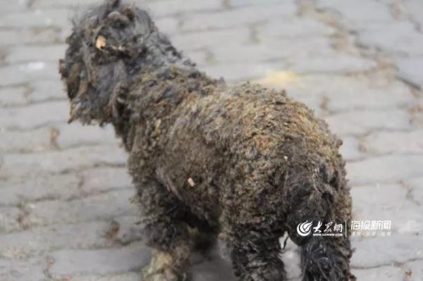 突發(fā)！青島一居民樓發(fā)生爆燃！已造1人死亡，7人受傷！3公里外有震感…